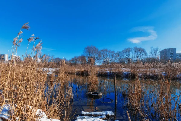 Wintersonniger Tag auf dem Fluss. Frost und Sonne. trockenes Schilf. — Stockfoto