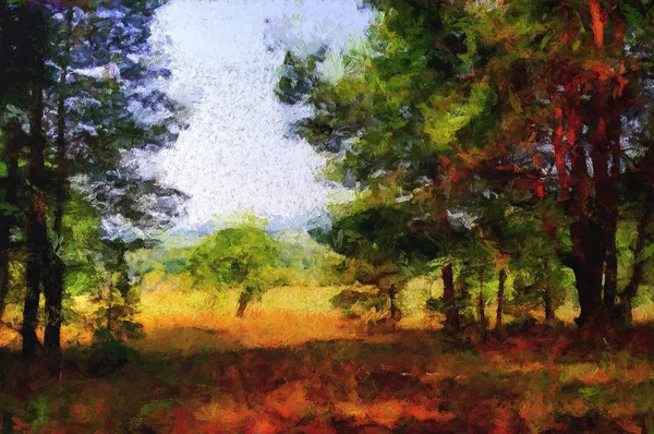 Hermosa pintura. Bosque de pinos en un soleado día de verano. pradera . —  Fotos de Stock