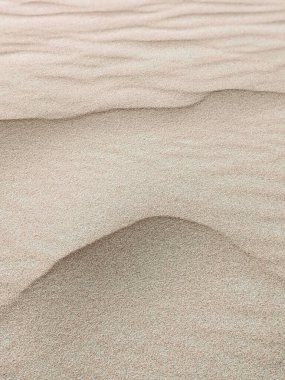 Wave of the desert texture, dunes in the sahara africa.