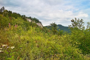Slovakya Liptov kale kalıntıları kaldırıma çevresinde doğa.