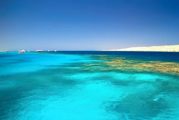 Área de mergulho com snorkel perto da Ilha Giftun no Mar Vermelho . — Fotografia de Stock