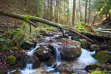 Janosiks Vadisi delik dağ dere taşları. Herkes için yürüyüş için çekici yer.