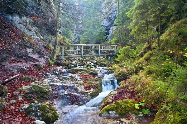 Janosikove diery - un famoso destino turístico en Eslovaquia. Un montón de cascadas, bancos, cadenas y acantilados empinados . — Foto de Stock