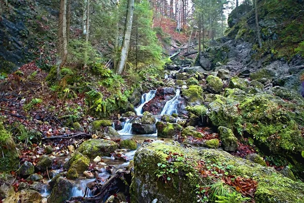 Janosikove diery - ünlü bir turizm Slovakya. Bir sürü şelaleler, banklar, zincirler ve dik kayalıklarla.