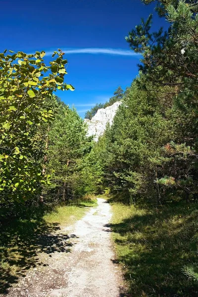 Hiking in the Prosiecko - Kvacianska valley is about landscaped pavements, surrounding rocks and coniferous trees in the forest. Stock Image