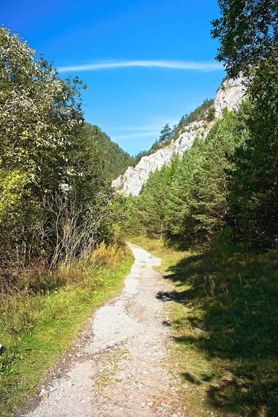 Hiking in the Prosiecko - Kvacianska valley is about landscaped pavements, surrounding rocks and coniferous trees in the forest. Stock Picture