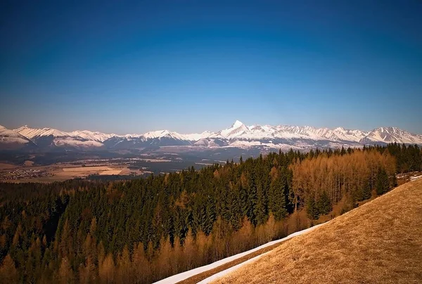 Na jaře s pozadím vrchol Vysokých Tater - Kriváň. — Stock fotografie