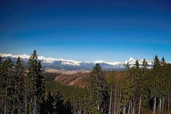 A primavera com o fundo do pico High Tatra - Krivan. Eslováquia bonita . — Fotografia de Stock