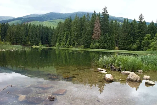 Скелі у воді як доповнення до декорацій озера Vrbicke з відображенням оточення на її поверхні. — стокове фото
