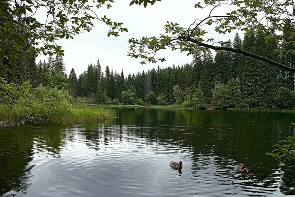 Vrbicke gölü Demanovska vadisinde en sevdiğim yer.