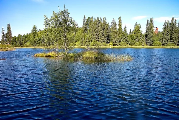 Une île solitaire du lac New Strbske dans les Hautes Tatras . — Photo