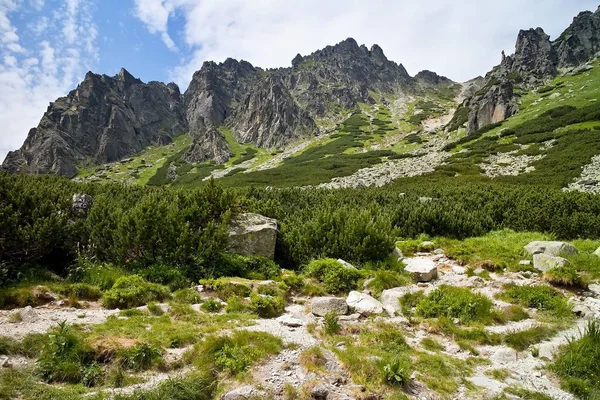 Yüksek Tatras Skok Şelalesi yürüyüş yolu tırmanırken ilginç kayalık sahne. — Stok fotoğraf