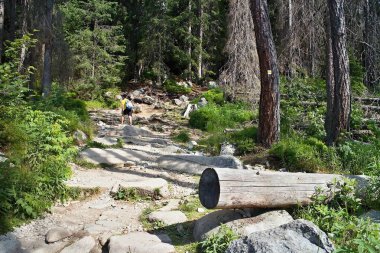Skok Şelalesi tırmanırken engelleri dolu bir yürüyüş yolu.