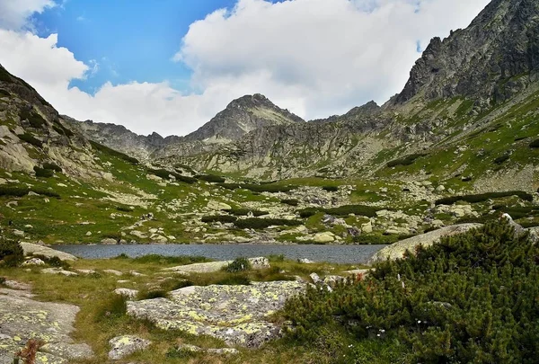 Lake above the Skok waterfall - hiking in the Mlynicka valley in the High Tatras. — Stok fotoğraf