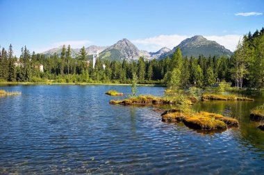 High Tatras 'taki Yeni Strbske Gölü' nün merkezindeki küçük adalar Slovakya 'ya.
