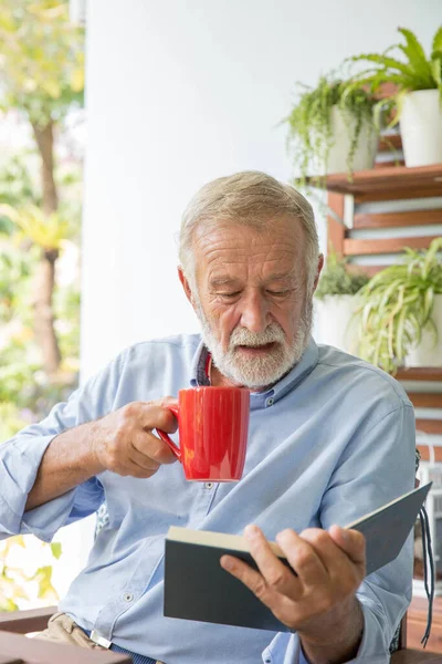 Senior Retiro Hombre Feliz Lectura Libro Casa — Foto de Stock