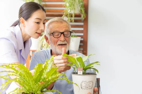 Retraite Senior Homme Infirmière Arrosent Une Petite Plante Tout Détendre — Photo