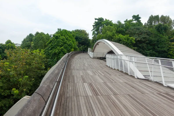 Henderson Wave Bridge Une Des Destinations Singapour — Photo