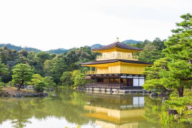 Kinkaku-ji tapınağı, Kyoto, Japonya 'daki altın pavyon.