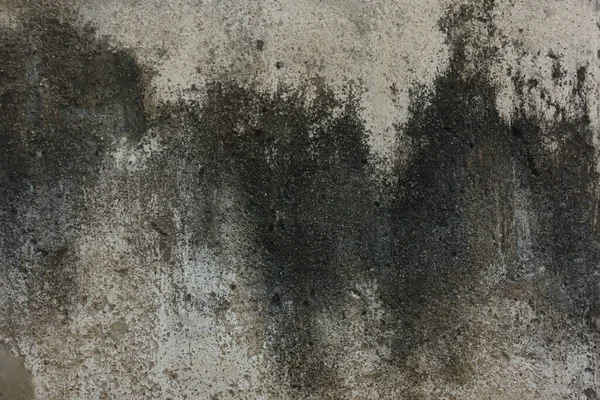 Grunge Muur Backgrorund Textuur — Stockfoto