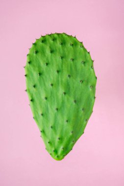 Parlak pembe zemin üzerine yeşil kaktüs. Yaratıcı en az kavramı.