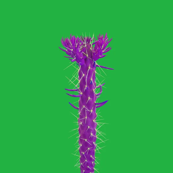 Lila Kaktus Auf Grünem Hintergrund Kreatives Design Minimale Mode Kunst — Stockfoto