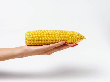 Kadın eli beyaz zemin üzerine Mısır koçanı. Gıda yaratıcı kavramı.