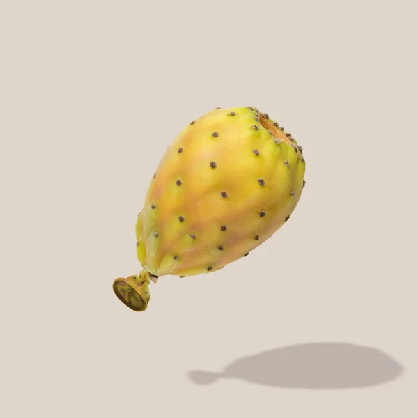 Kaktüs Meyve Balon Parlak Arka Plan Üzerinde Yaratıcı Kavramı — Stok fotoğraf
