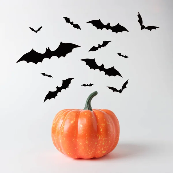 Abóbora Halloween Com Morcegos Fundo Branco Halloween Conceito Mínimo — Fotografia de Stock