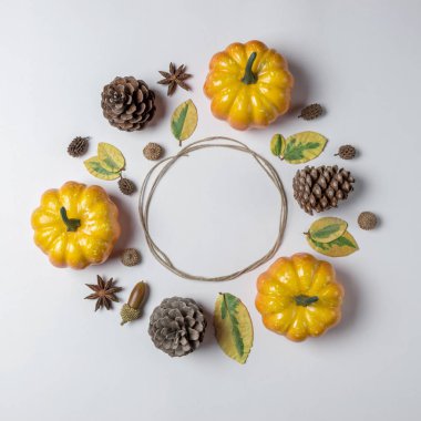 Beyaz arka plan üzerinde renkli kabaklar yaratıcı düzeni. Sonbahar konsepti.