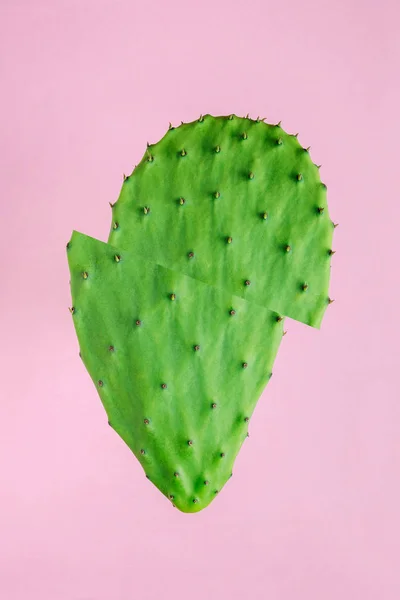 Grön Skivad Kaktus Ljusa Rosa Bakgrund Kreativa Minimal Koncept — Stockfoto