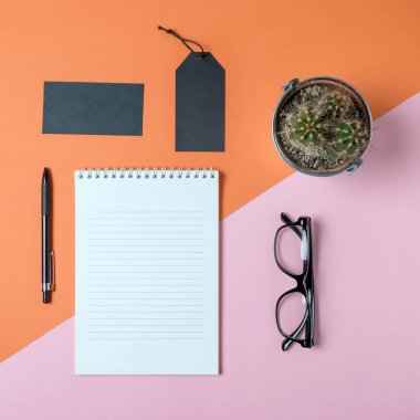 Yaratıcı düz Fotoğraf çalışma masası gözlük, kaktüs ve defter kopyalama alanı arka plan ile yatırın. En az konsept Sanat.