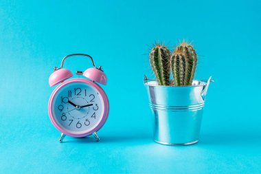 Pembe çalar saat kaktüs üzerinde mavi arka plan ile. En az kavramı.