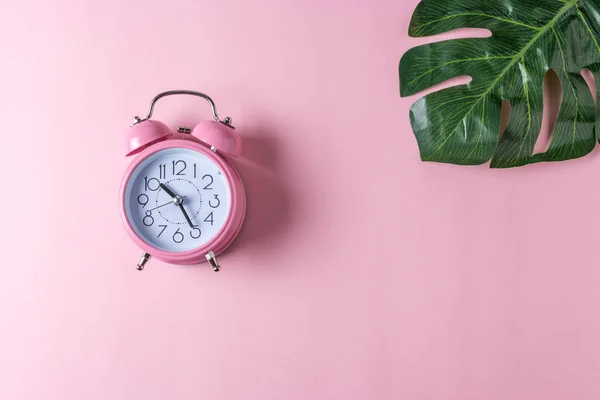 Relógio Alarme Rosa Com Folha Palma Fundo Rosa Pastel Conceito — Fotografia de Stock