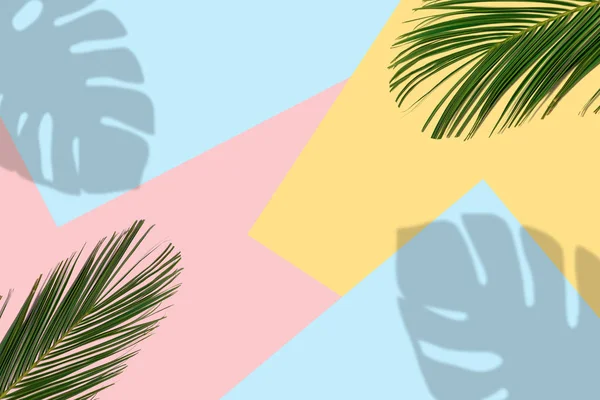 Tropická Světlé Barevné Pozadí Exotické Tropické Palmové Listy Minimální Letní — Stock fotografie