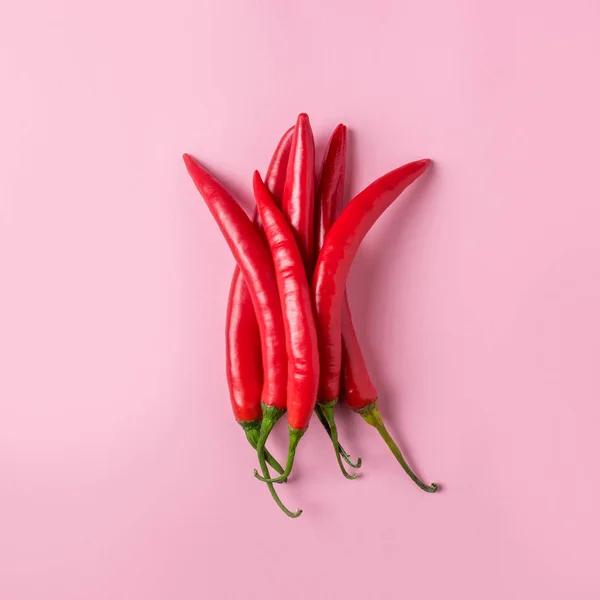 Creative layout of chili pepper on pink background. Minimal food concept.