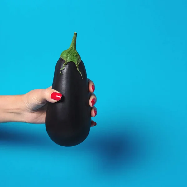 Woman Hand Holding Eggplant Blue Background Minimal Concept — Stock Photo, Image