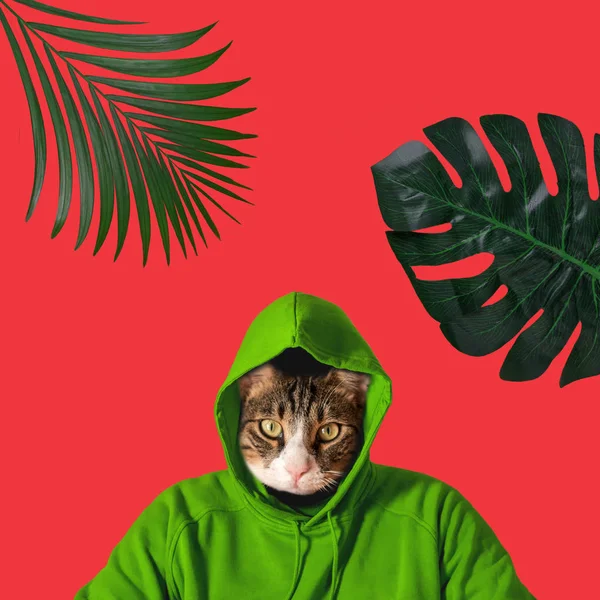 Cat and palm leaf collage, pop art concept design. Minimal vibrant summer background. — Stock Photo, Image