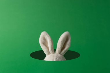 Paskalya bunny kulaklar yeşil zemin üzerine delikten dışarı bakmak. En az Paskalya kavramı.
