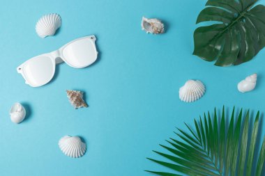 Deniz kabuklarını, beyaz güneş gözlüğü ve palm ile yaratıcı kompozisyon pastel mavi zemin üzerine bırakır. Yaz en az kavramı.