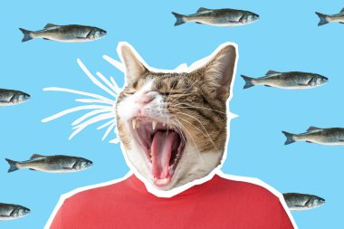 Kedi ve balık kolaj, pop art konsept tasarımı. En az hareketli arka plan.