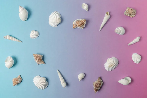 Composizione creativa con conchiglie su sfondo sfumato rosa pastello e blu. Concetto estate minima . — Foto Stock