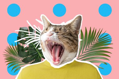 Kedi ve palmiye yaprağı kolaj, pop art konsept tasarımı. En az canlı yaz arka plan.