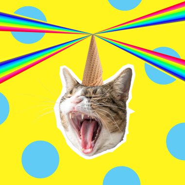Gökkuşağı ile baş kedi, pop sanat tasarım kavramı kolaj. En az yaz arka plan.