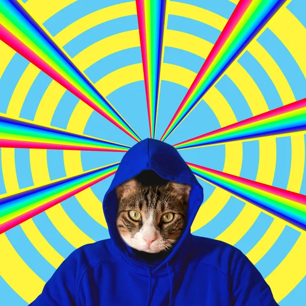Cat head with rainbow, collage pop art concept design. Minimal summer background.
