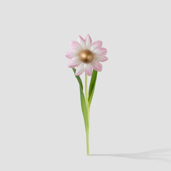 Stokrotka kwiat złotem jaj na łodygi kwiatów na jasnym tle. Minimal art concept. — Zdjęcie stockowe