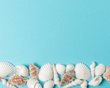 Pastel mavi arka plan kopya alanı ile yaratıcı seashell desen. Yaz en az kavramı.
