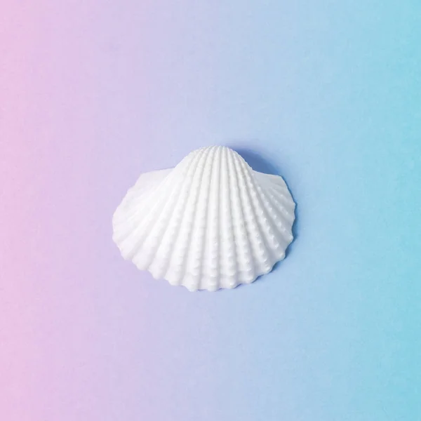 Creative composition with seashell on gradient pastel pink and blue background. Summer minimal concept. — Stock Photo, Image