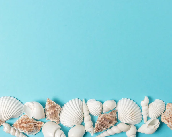 Modello di conchiglia creativa su sfondo blu pastello con spazio di copia. Concetto estate minima . — Foto Stock