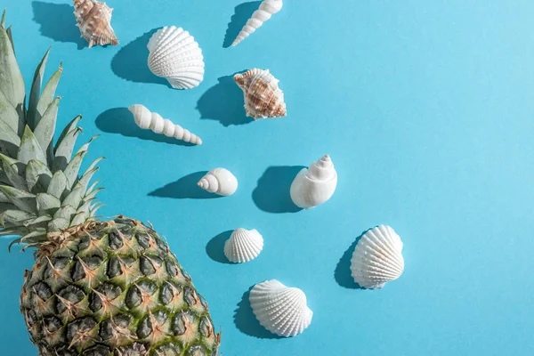 Composizione creativa con conchiglie e ananas su sfondo blu pastello. Concetto estate minima . — Foto Stock